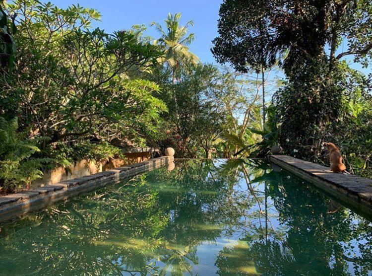 乌纳瓦图纳Sri Yoga Shala住宿加早餐旅馆 外观 照片
